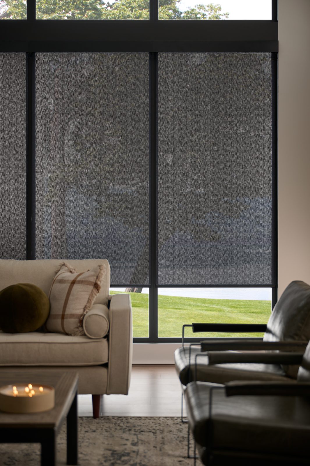 Alta motorized roller shade with BLISS&reg; Automation in a living room