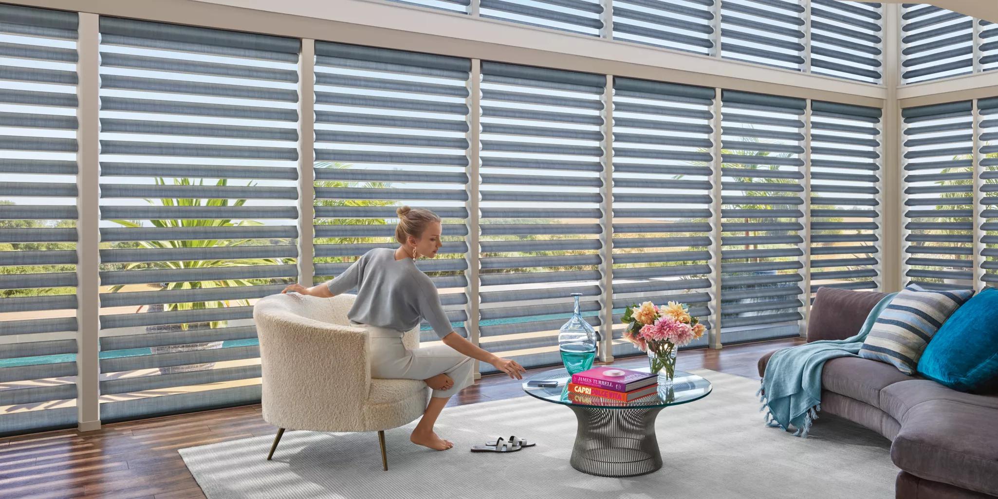 Hunter Douglas Silhouette Window Shadings